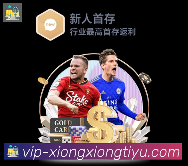 多彩内容专区